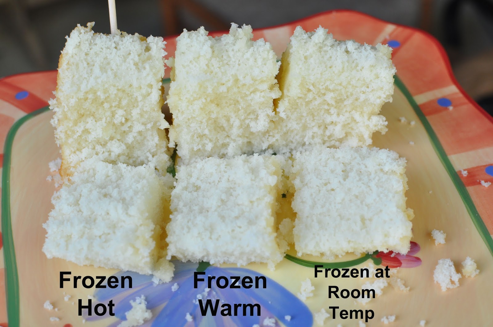 Can Cake Be Frozen: Exploring Freezing Options for Cakes