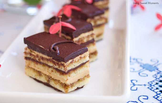 What Is Opera Cake: Exploring the Layers of Opera Cake Delight